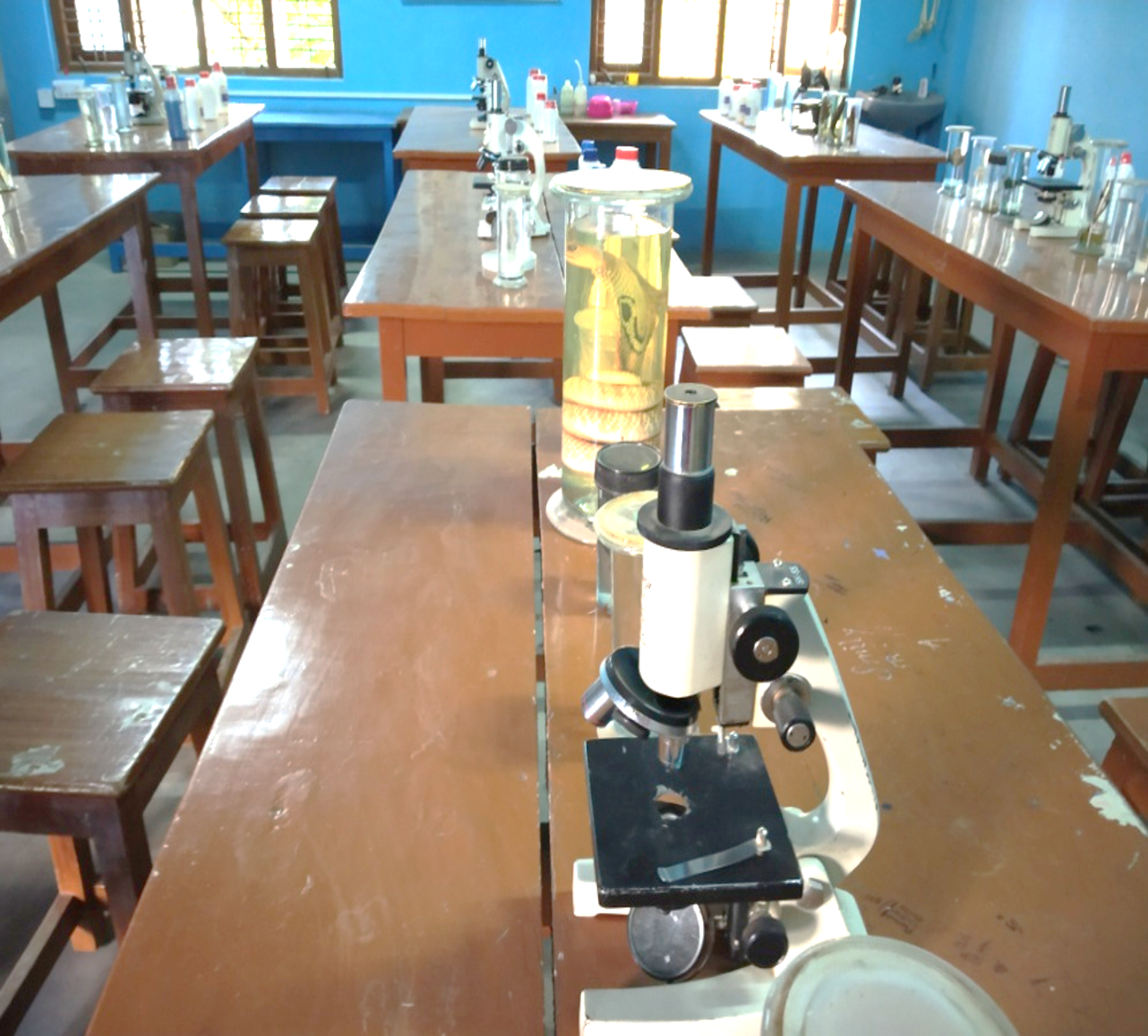 BIOLOGY LAB 2